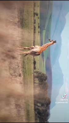 wp_story1635385347578_0