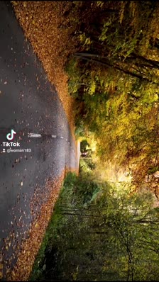 wp_story1635385374284_0