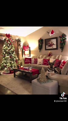 wp_story1640328134402_0